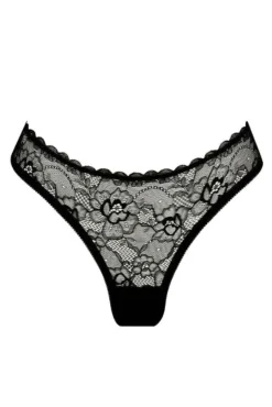 Kat The Label Maverick Brief | High Waist | Briefs